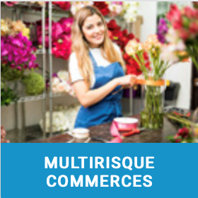Multirisque commerces